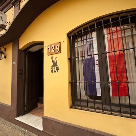 Black Cat Hostel อะซุนซิออง ภายนอก รูปภาพ