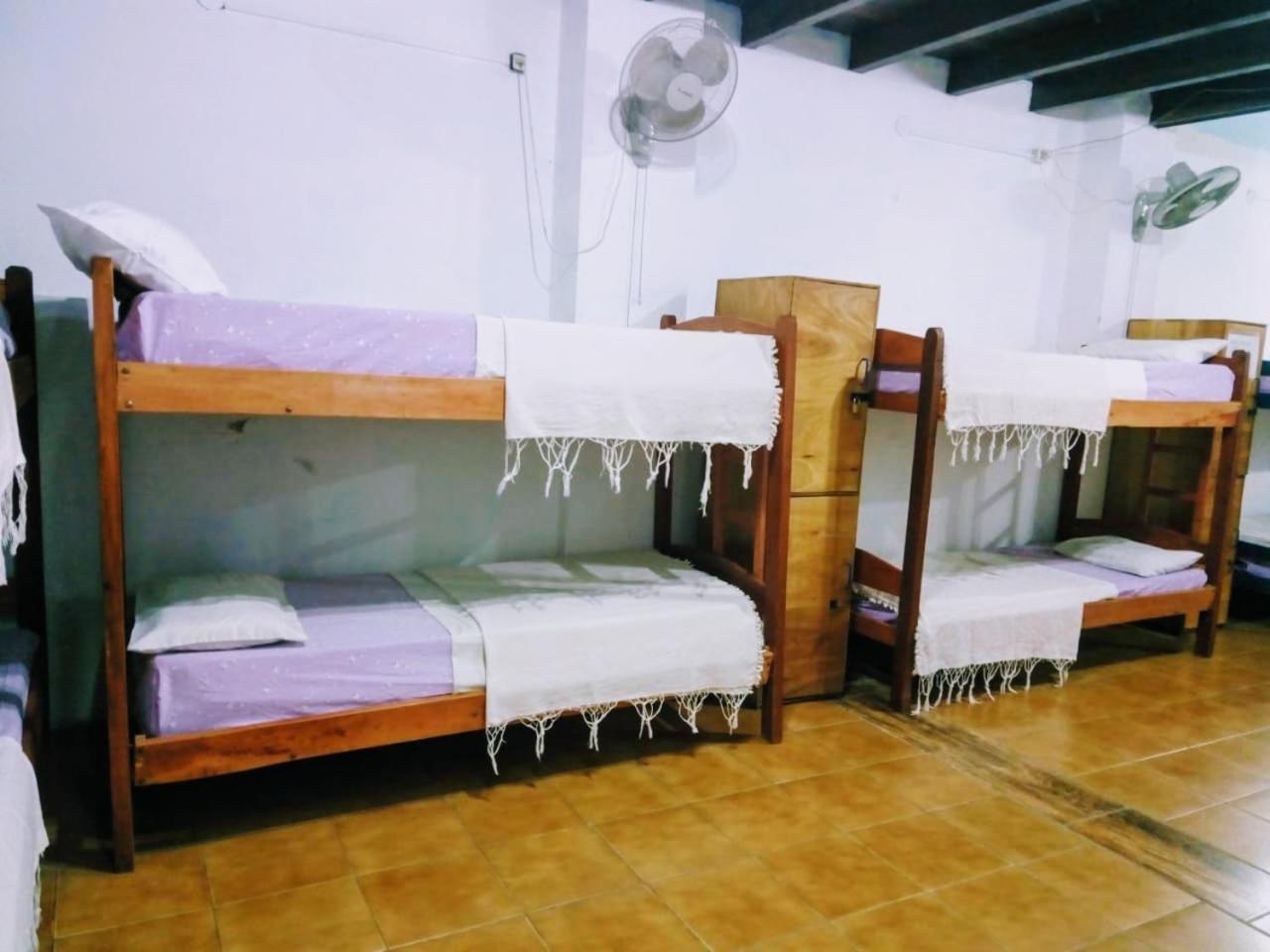 Black Cat Hostel อะซุนซิออง ภายนอก รูปภาพ