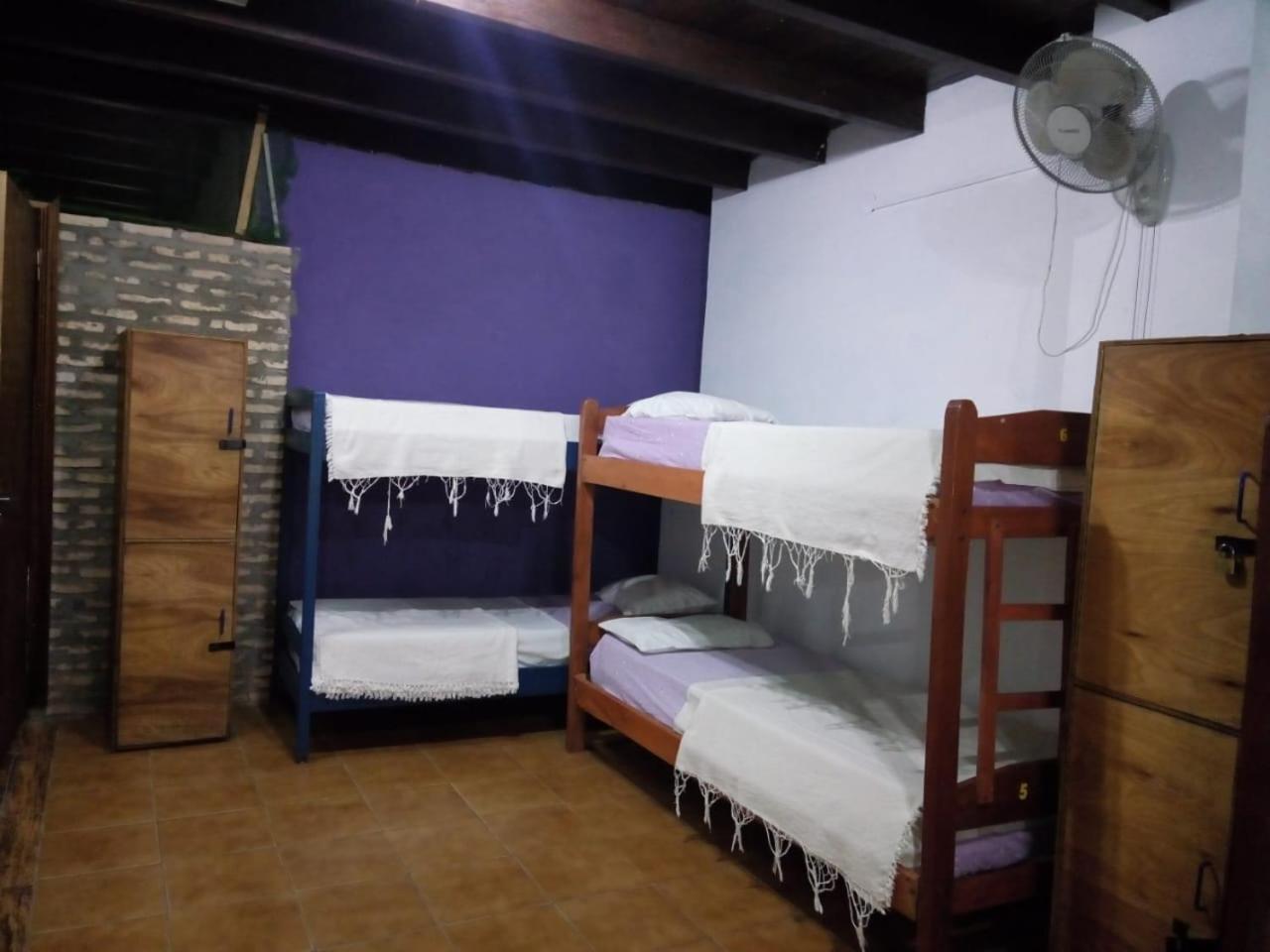 Black Cat Hostel อะซุนซิออง ภายนอก รูปภาพ